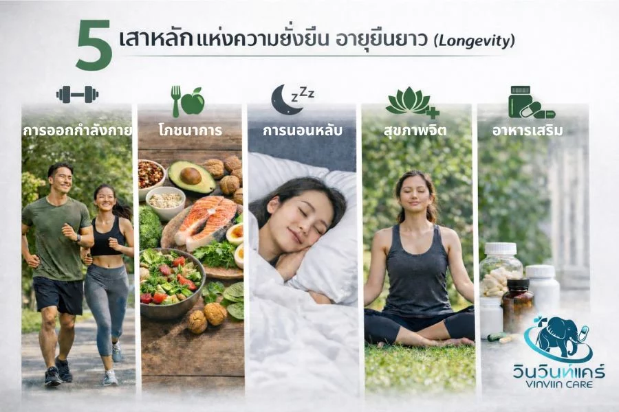 5 เสาหลัก Longevity lifestyle วิธีอายุยืนอย่างมีคุณภาพ